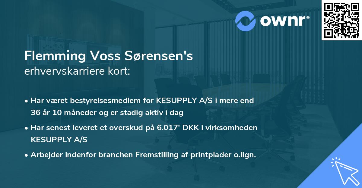 Flemming Voss Sørensen's erhvervskarriere kort