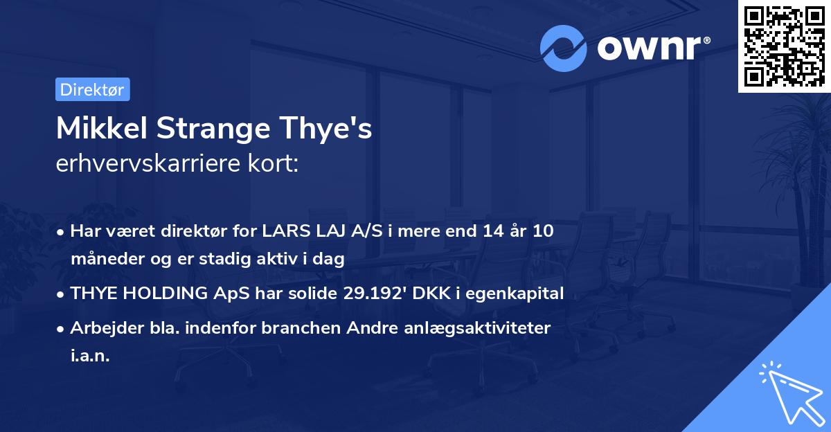 Mikkel Strange Thye's erhvervskarriere kort
