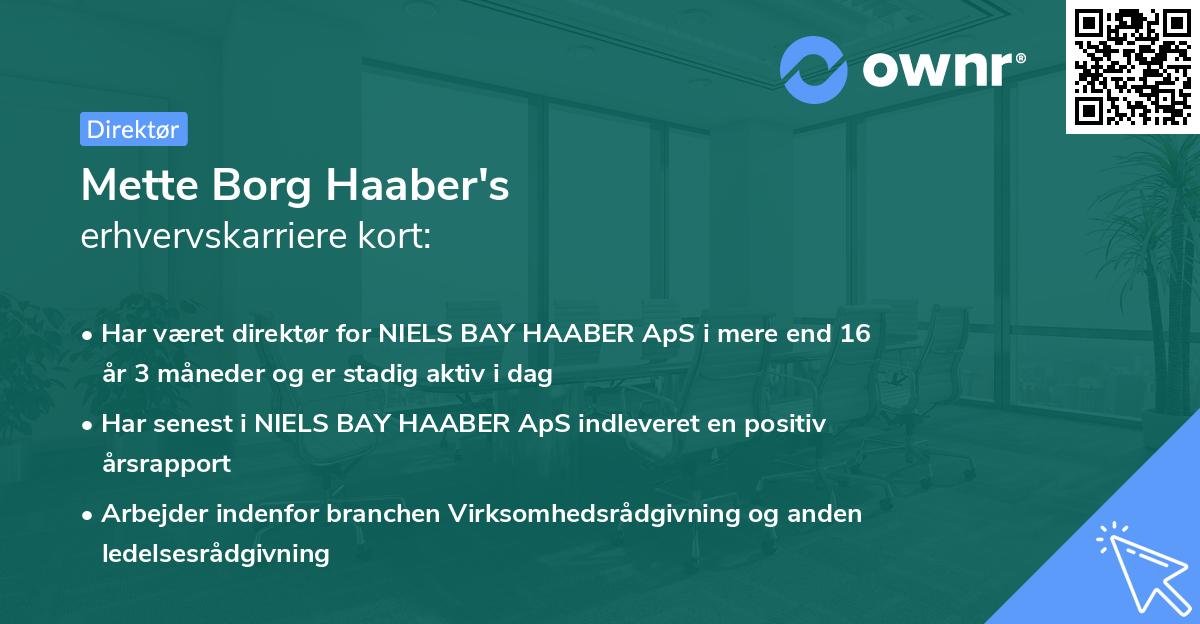 Mette Borg Haaber's erhvervskarriere kort