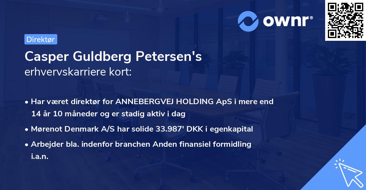 Casper Guldberg Petersen's erhvervskarriere kort