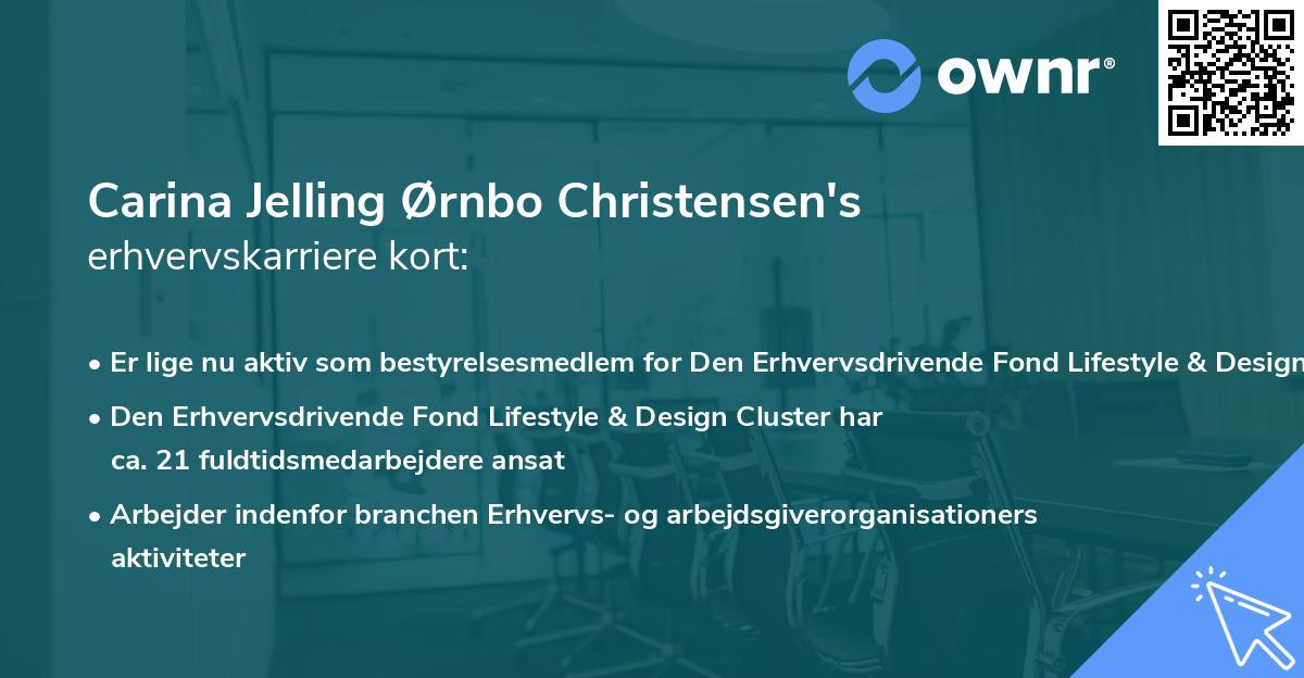 Carina Jelling Ørnbo Christensen's erhvervskarriere kort