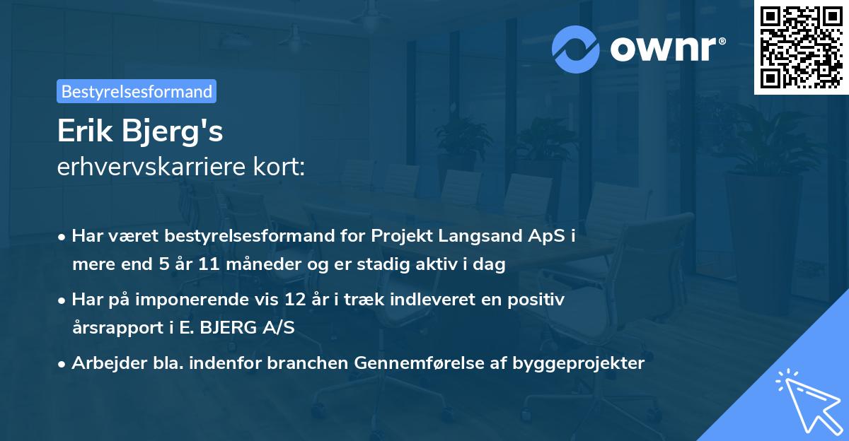 Erik Bjerg's erhvervskarriere kort