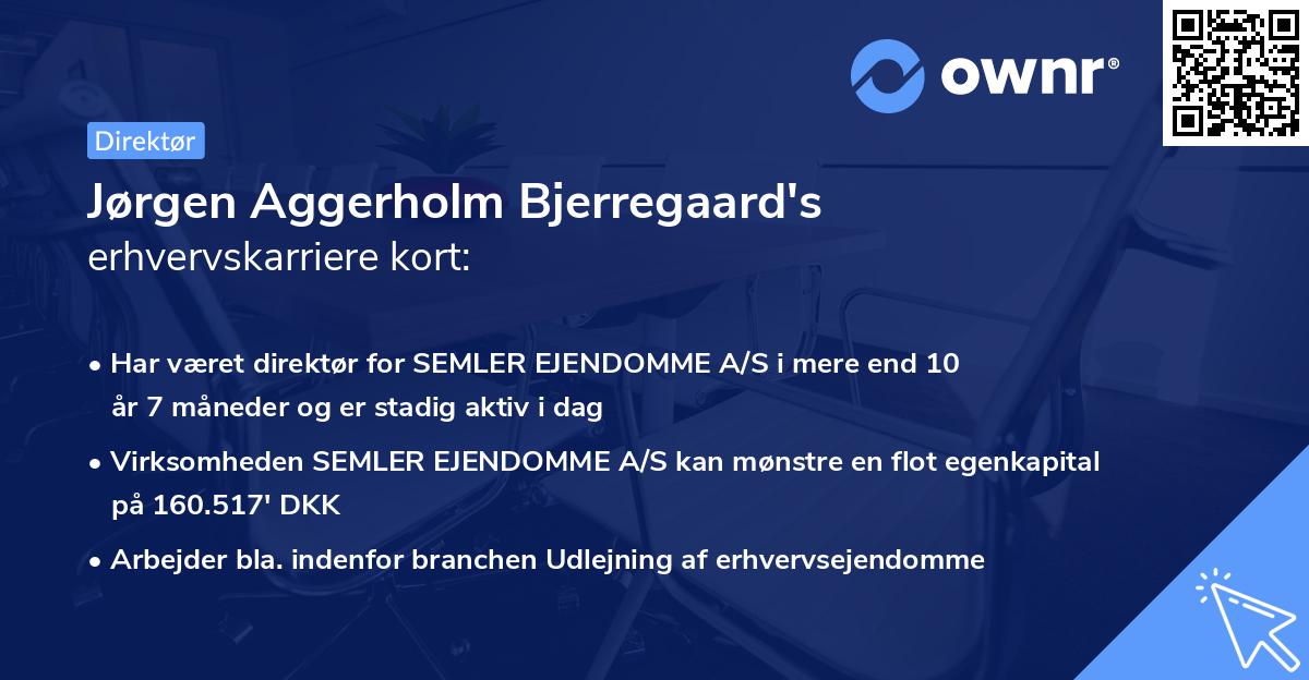 Jørgen Aggerholm Bjerregaard's erhvervskarriere kort