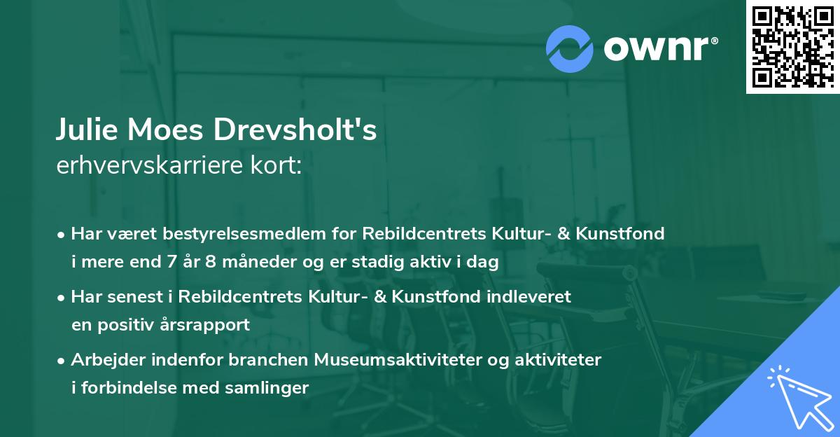 Julie Moes Drevsholt's erhvervskarriere kort