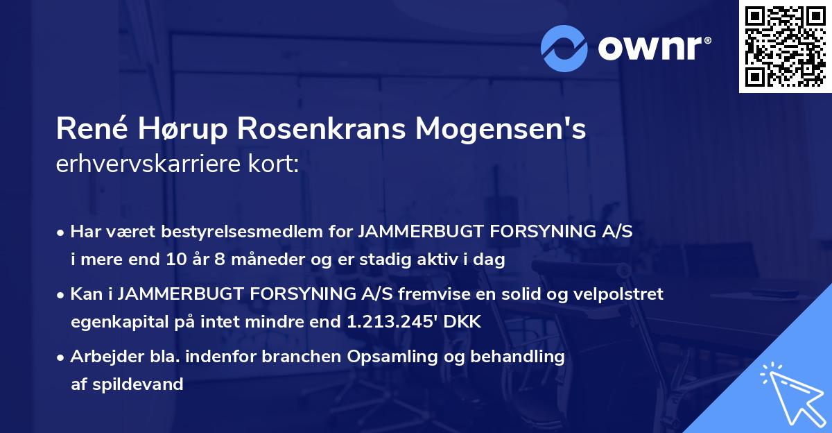 René Hørup Rosenkrans Mogensen's erhvervskarriere kort