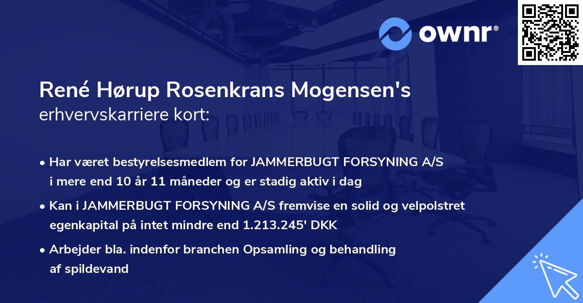 René Hørup Rosenkrans Mogensen's erhvervskarriere kort