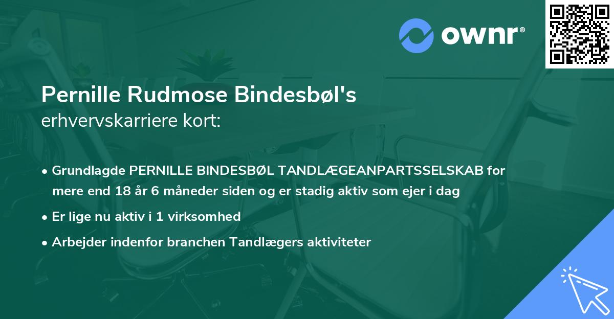 Pernille Rudmose Bindesbøl's erhvervskarriere kort
