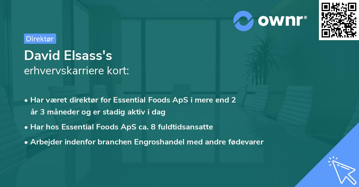 David Elsass's erhvervskarriere kort