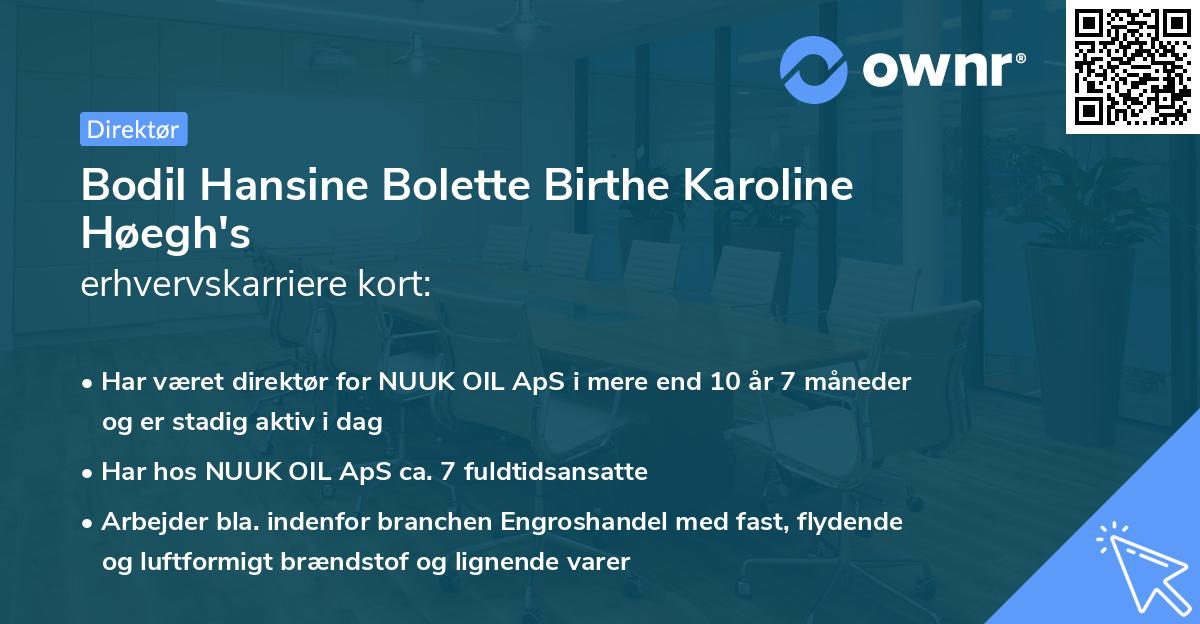 Bodil Hansine Bolette Birthe Karoline Høegh's erhvervskarriere kort