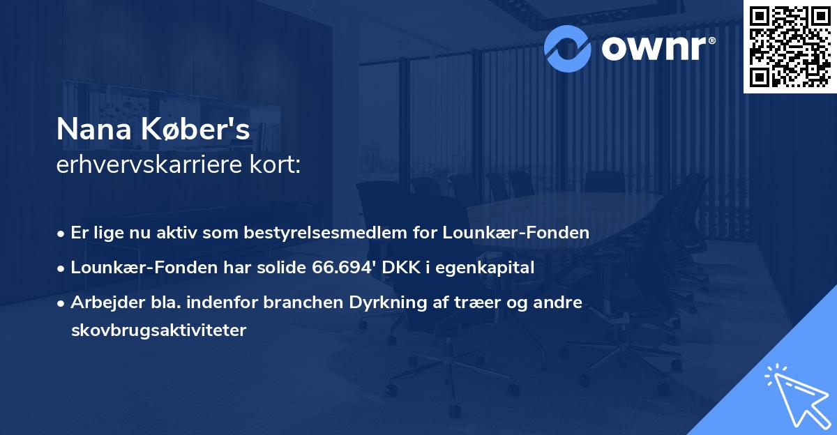 Nana Køber's erhvervskarriere kort