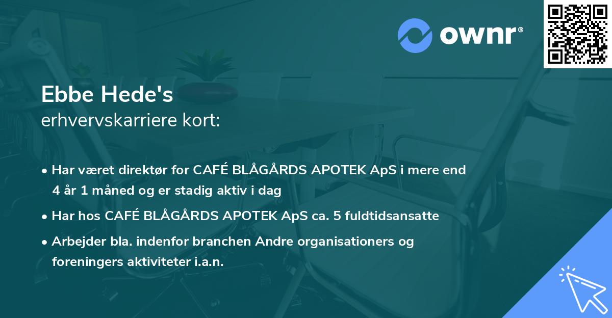 Ebbe Hede's erhvervskarriere kort