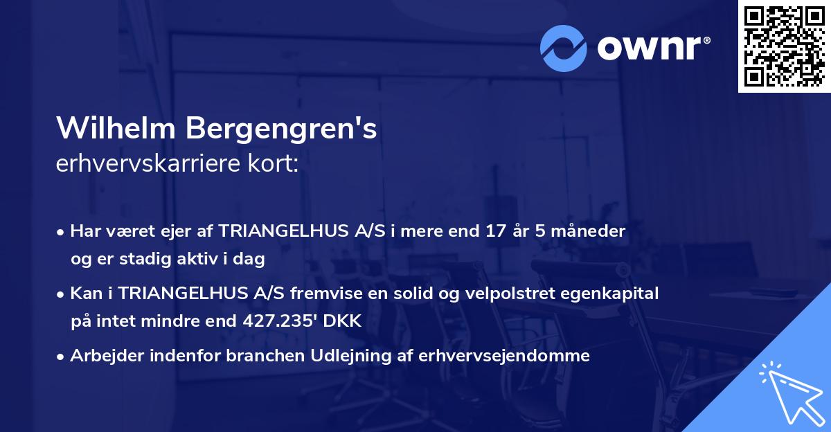 Wilhelm Bergengren's erhvervskarriere kort