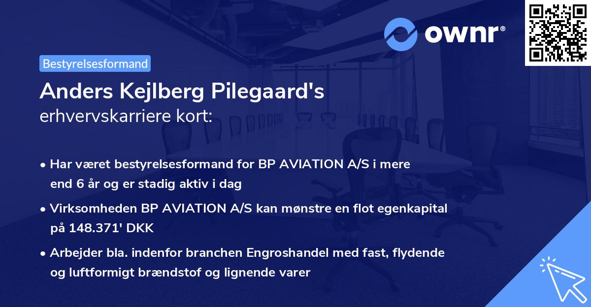 Anders Kejlberg Pilegaard's erhvervskarriere kort