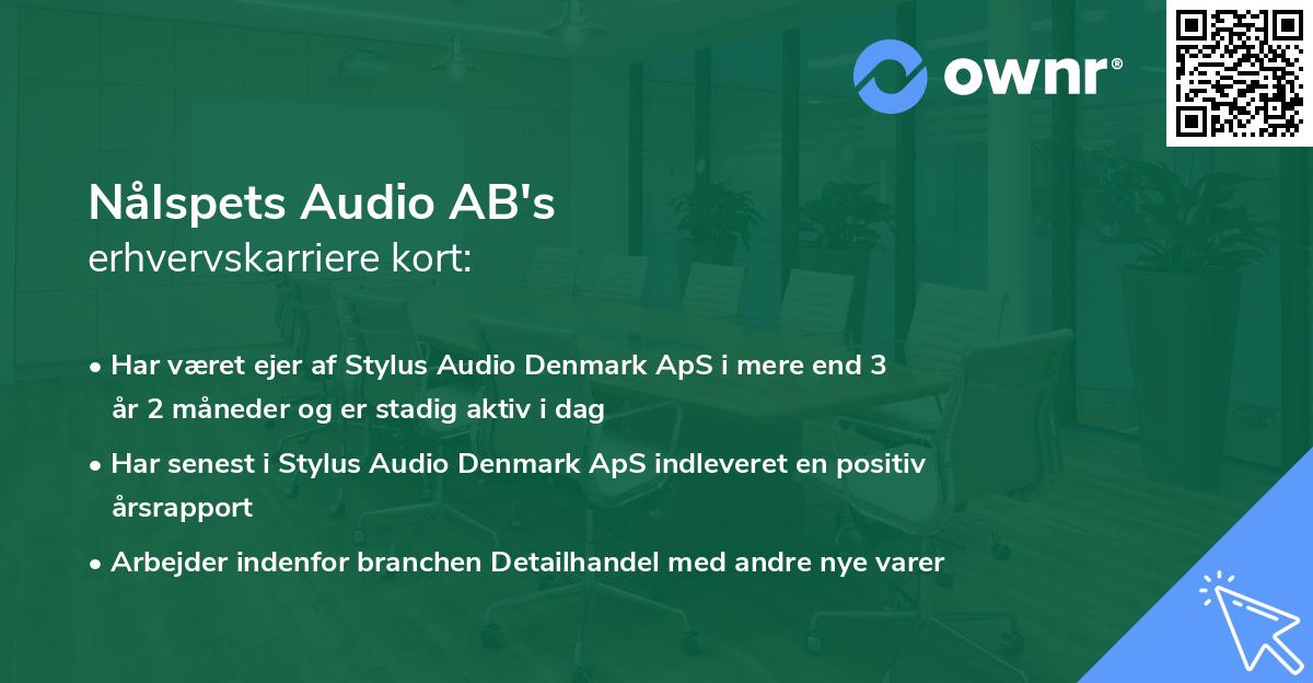 Nålspets Audio AB's erhvervskarriere kort
