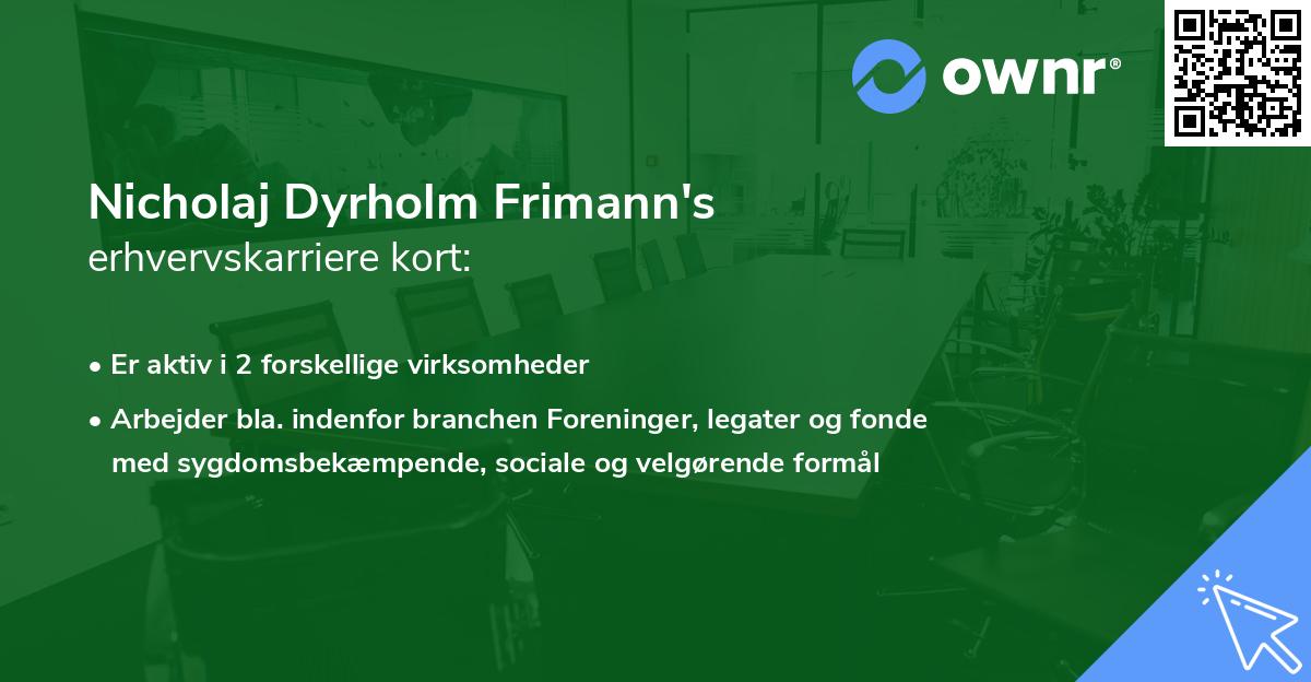 Nicholaj Dyrholm Frimann's erhvervskarriere kort