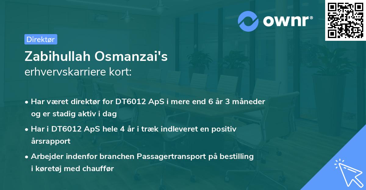 Zabihullah Osmanzai's erhvervskarriere kort
