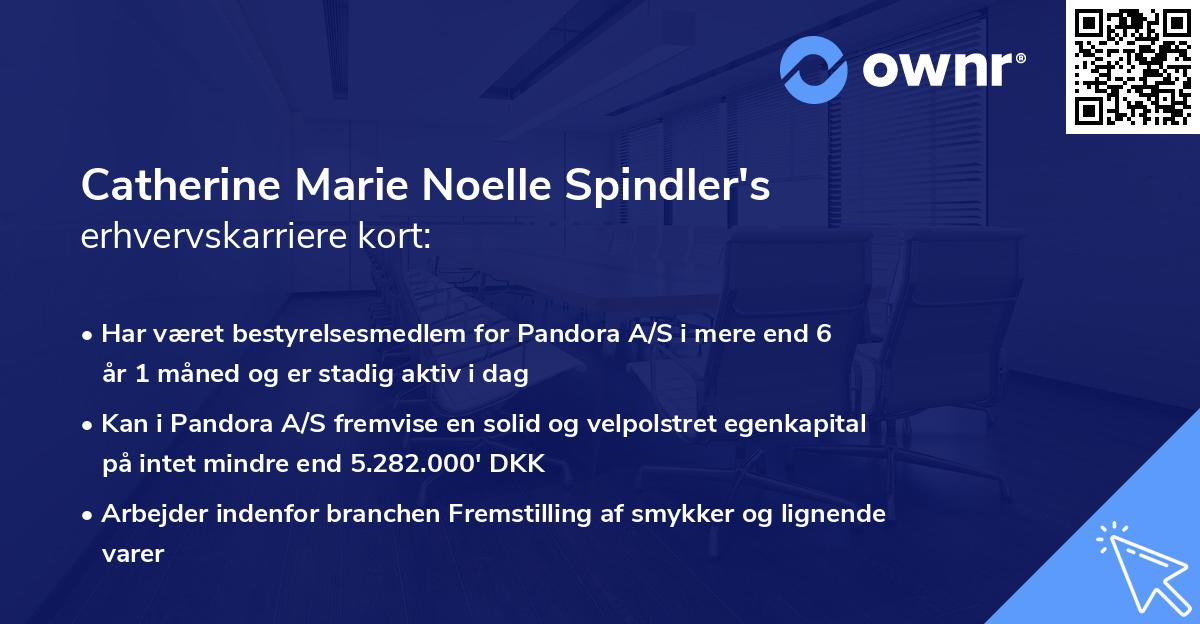 Catherine Marie Noelle Spindler's erhvervskarriere kort