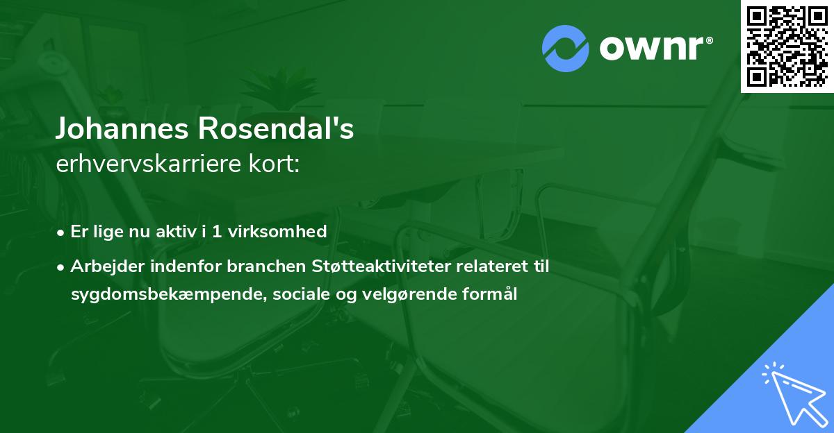 Johannes Rosendal's erhvervskarriere kort