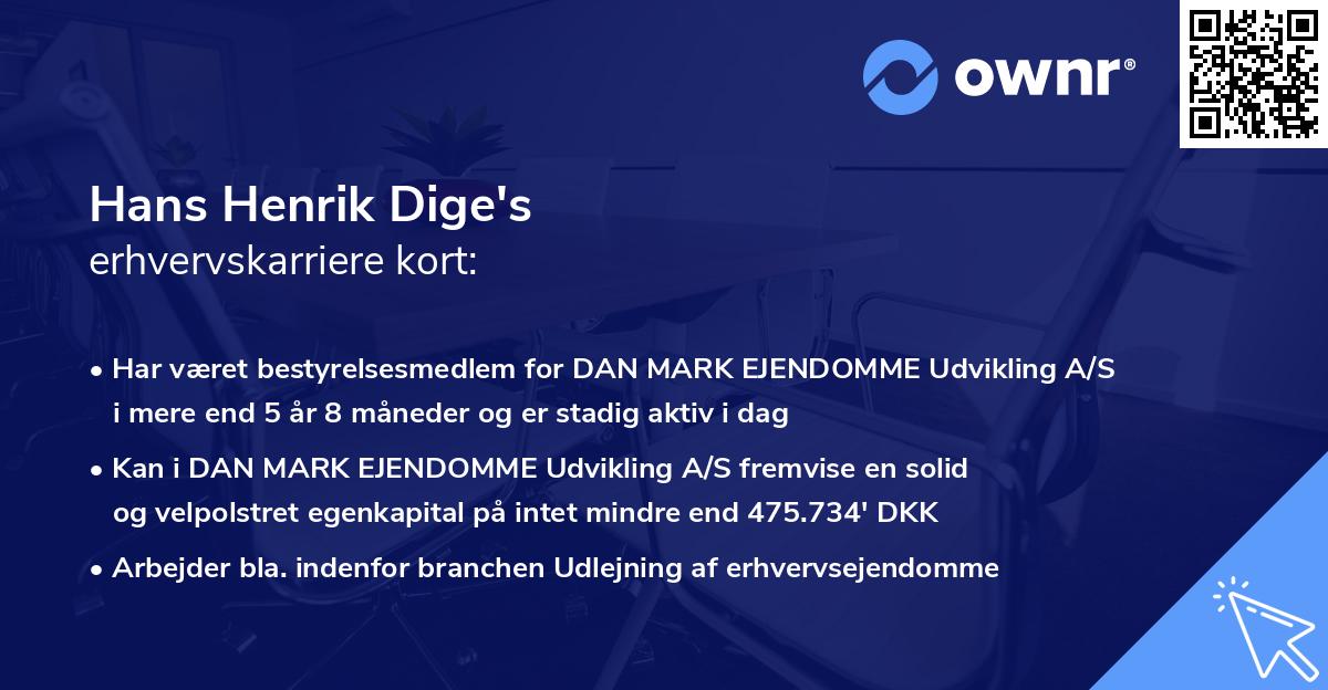 Hans Henrik Dige's erhvervskarriere kort