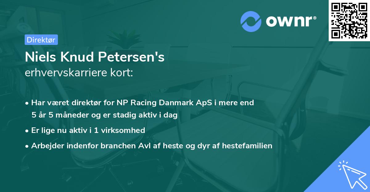 Niels Knud Petersen's erhvervskarriere kort