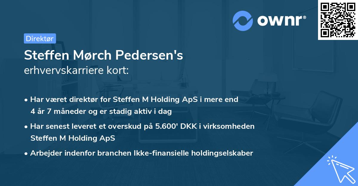 Steffen Mørch Pedersen's erhvervskarriere kort