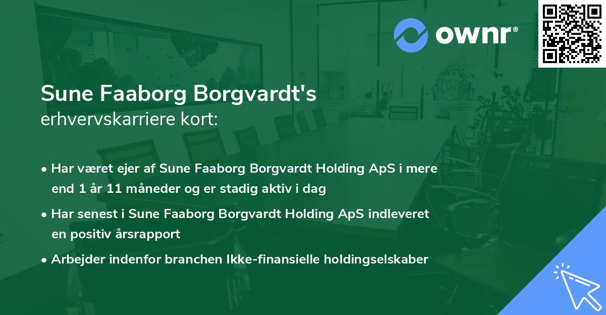 Sune Faaborg Borgvardt's erhvervskarriere kort