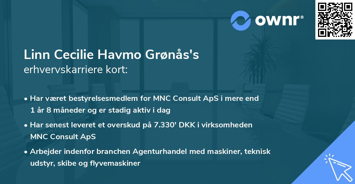 Linn Cecilie Havmo Grønås's erhvervskarriere kort