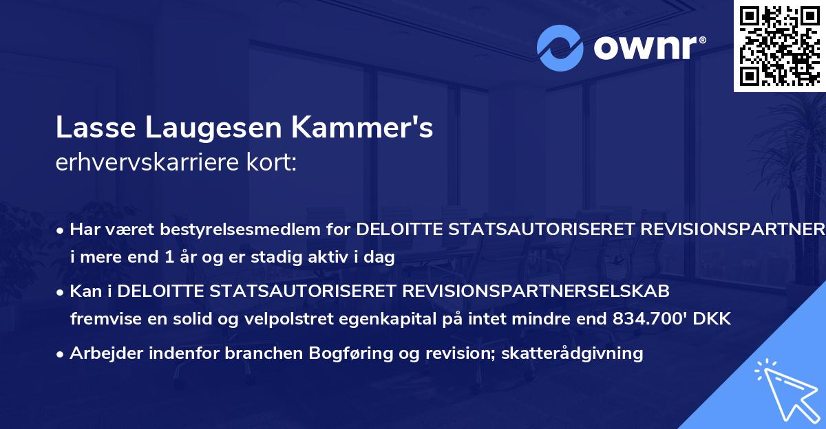 Lasse Laugesen Kammer's erhvervskarriere kort