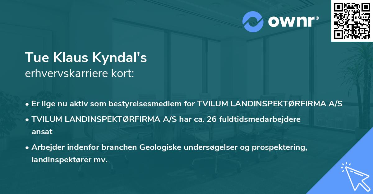 Tue Klaus Kyndal's erhvervskarriere kort