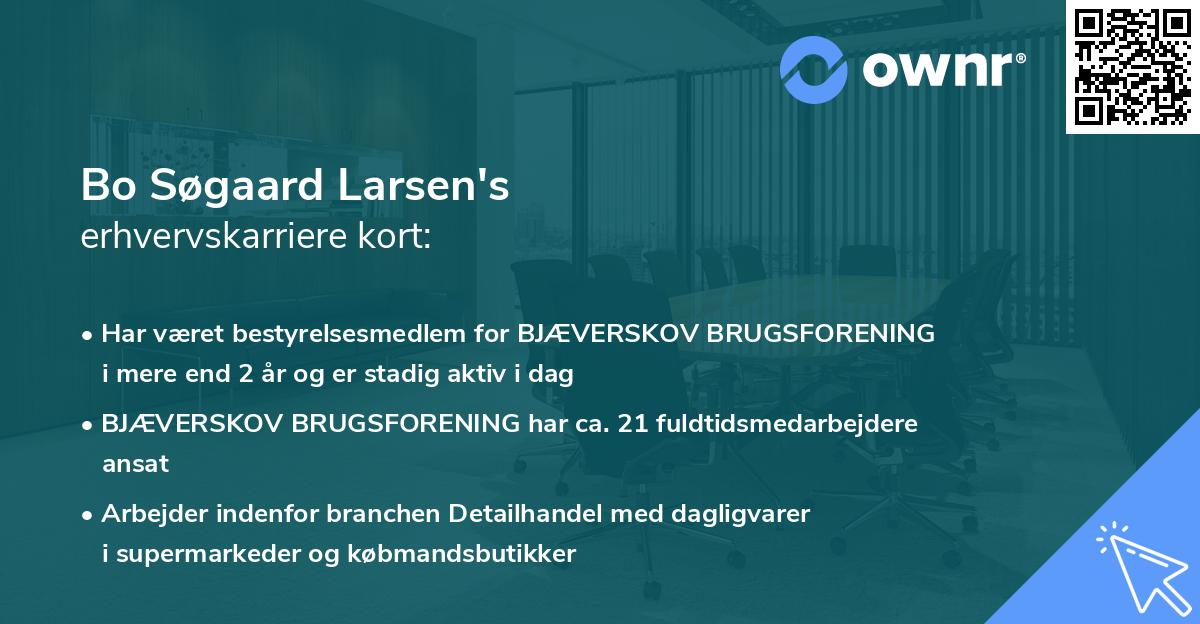 Bo Søgaard Larsen's erhvervskarriere kort