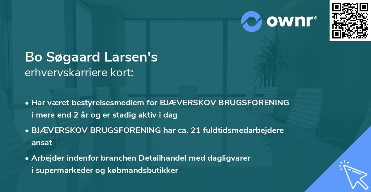 Bo Søgaard Larsen's erhvervskarriere kort