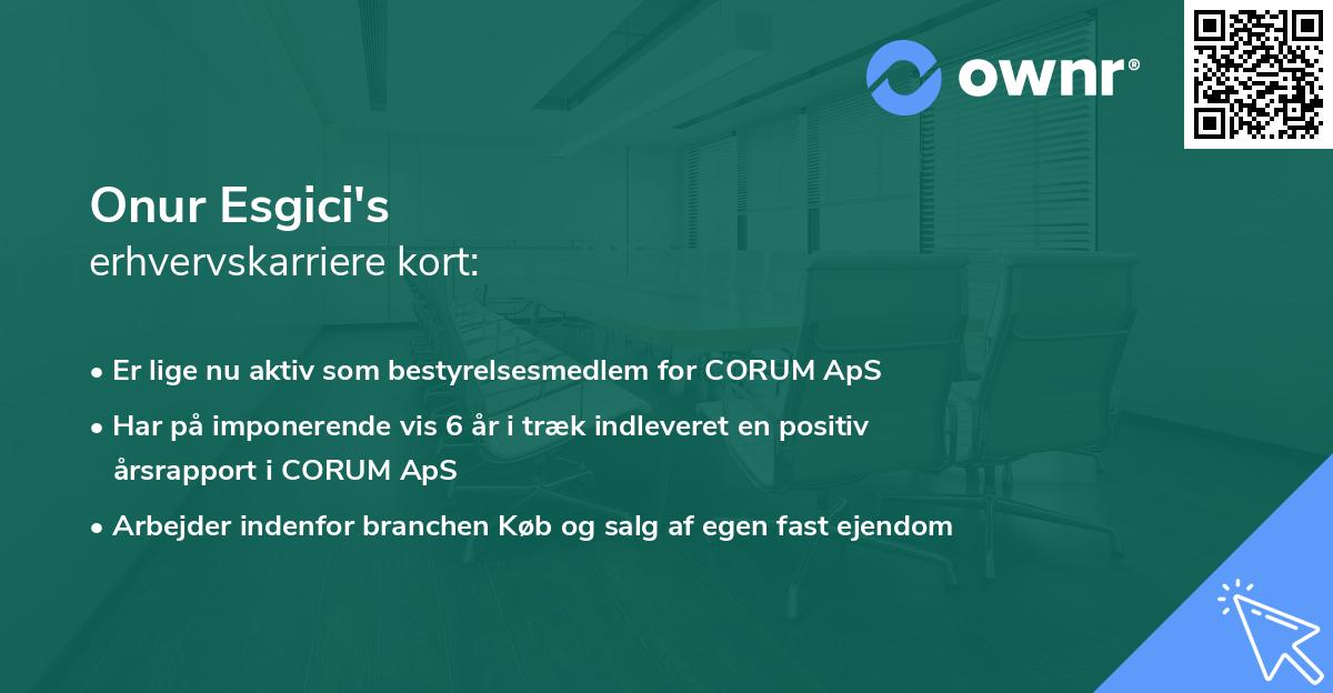 Onur Esgici's erhvervskarriere kort