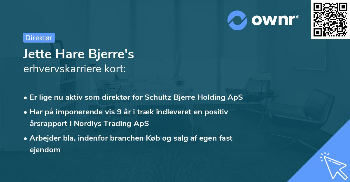 Jette Hare Bjerre's erhvervskarriere kort