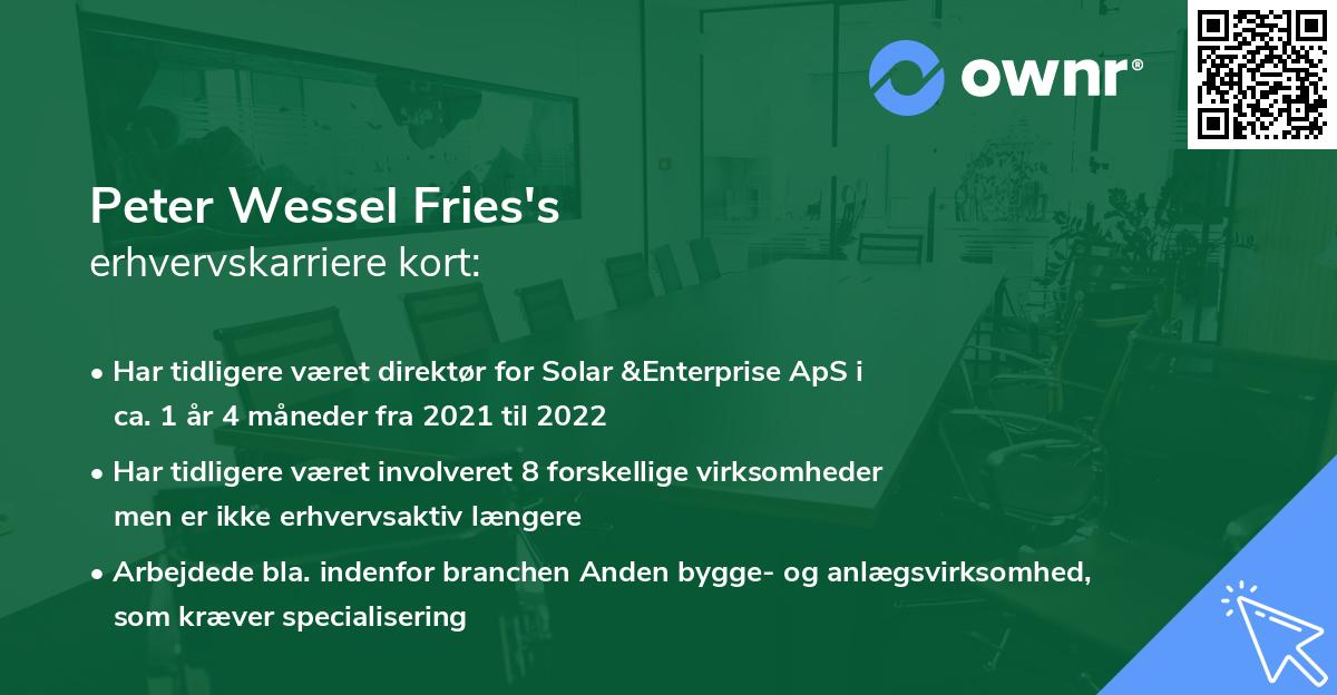 Peter Wessel Fries's erhvervskarriere kort