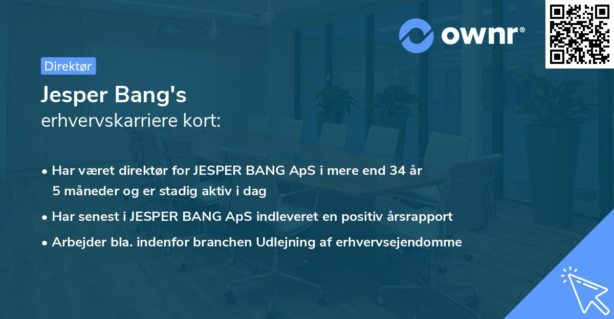 Jesper Bang's erhvervskarriere kort