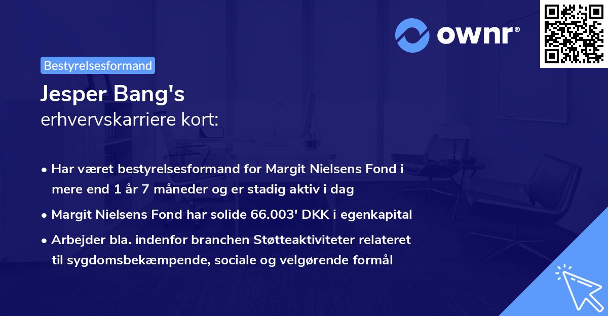 Jesper Bang's erhvervskarriere kort