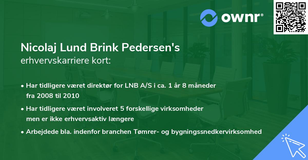 Nicolaj Lund Brink Pedersen's erhvervskarriere kort