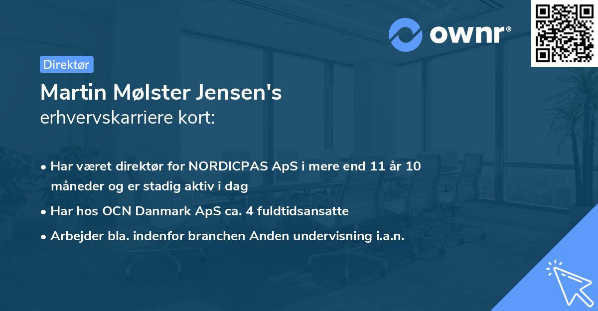 Martin Mølster Jensen's erhvervskarriere kort