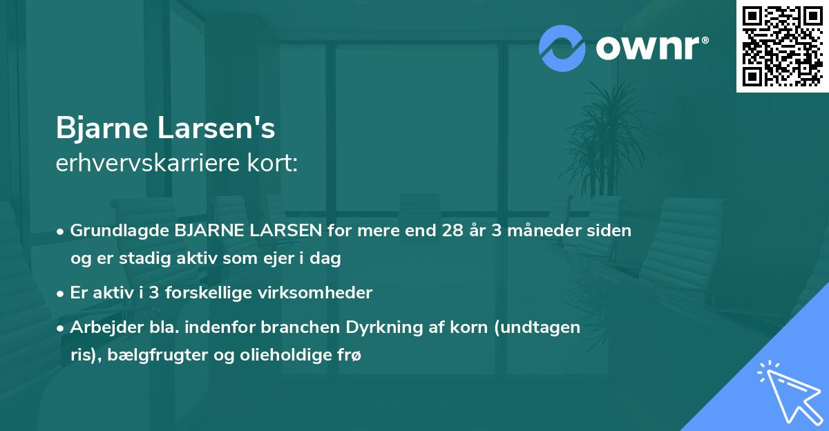 Bjarne Larsen's erhvervskarriere kort