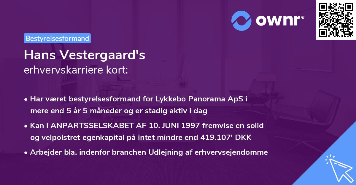 Hans Vestergaard's erhvervskarriere kort