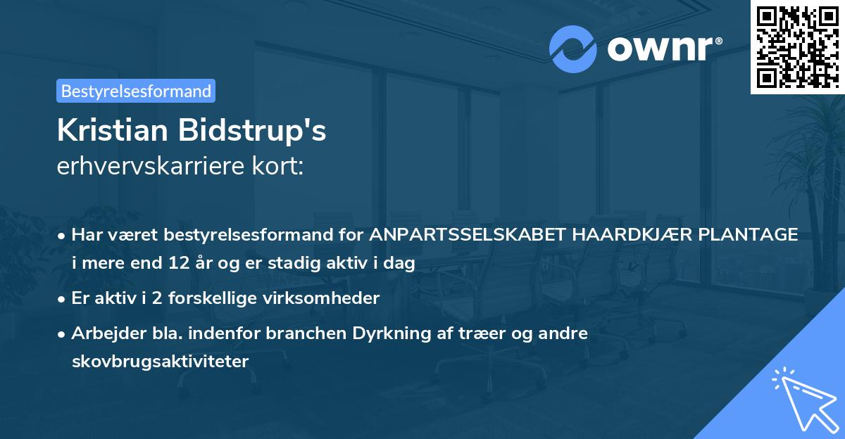 Kristian Bidstrup's erhvervskarriere kort