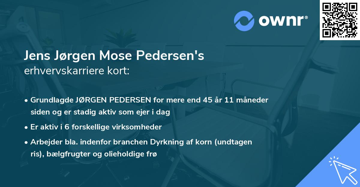 Jens Jørgen Mose Pedersen's erhvervskarriere kort