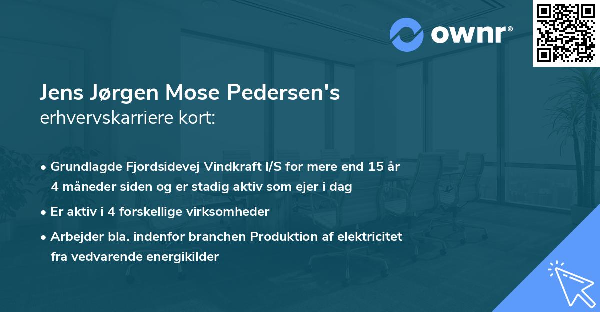 Jens Jørgen Mose Pedersen's erhvervskarriere kort