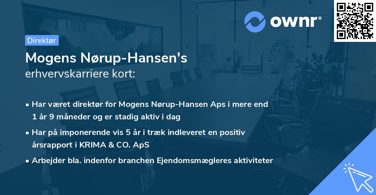 Mogens Nørup-Hansen's erhvervskarriere kort