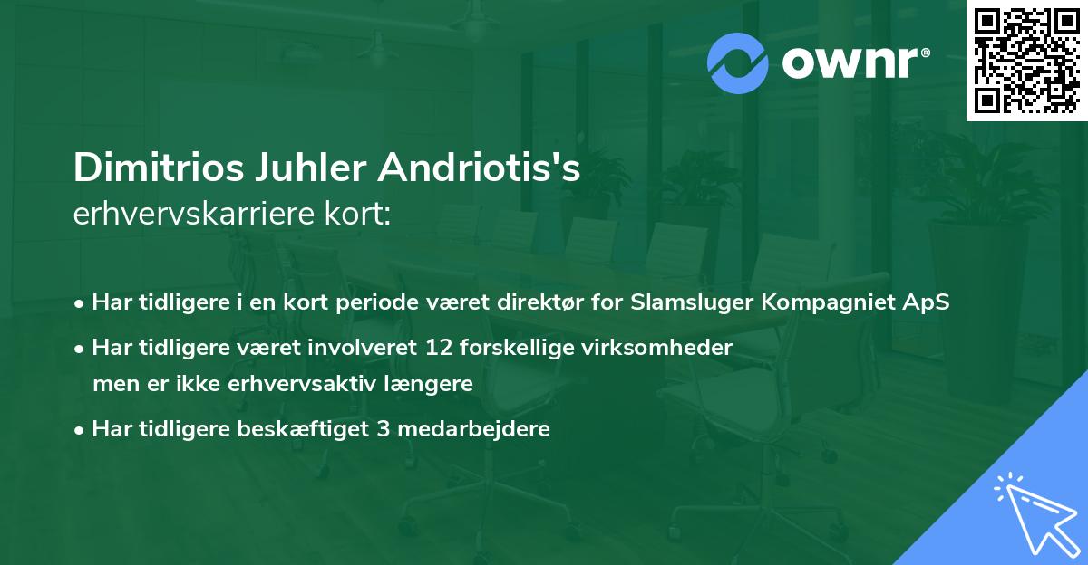 Dimitrios Juhler Andriotis's erhvervskarriere kort