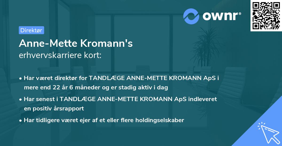 Anne-Mette Kromann's erhvervskarriere kort