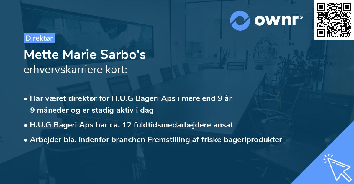 Mette Marie Sarbo's erhvervskarriere kort