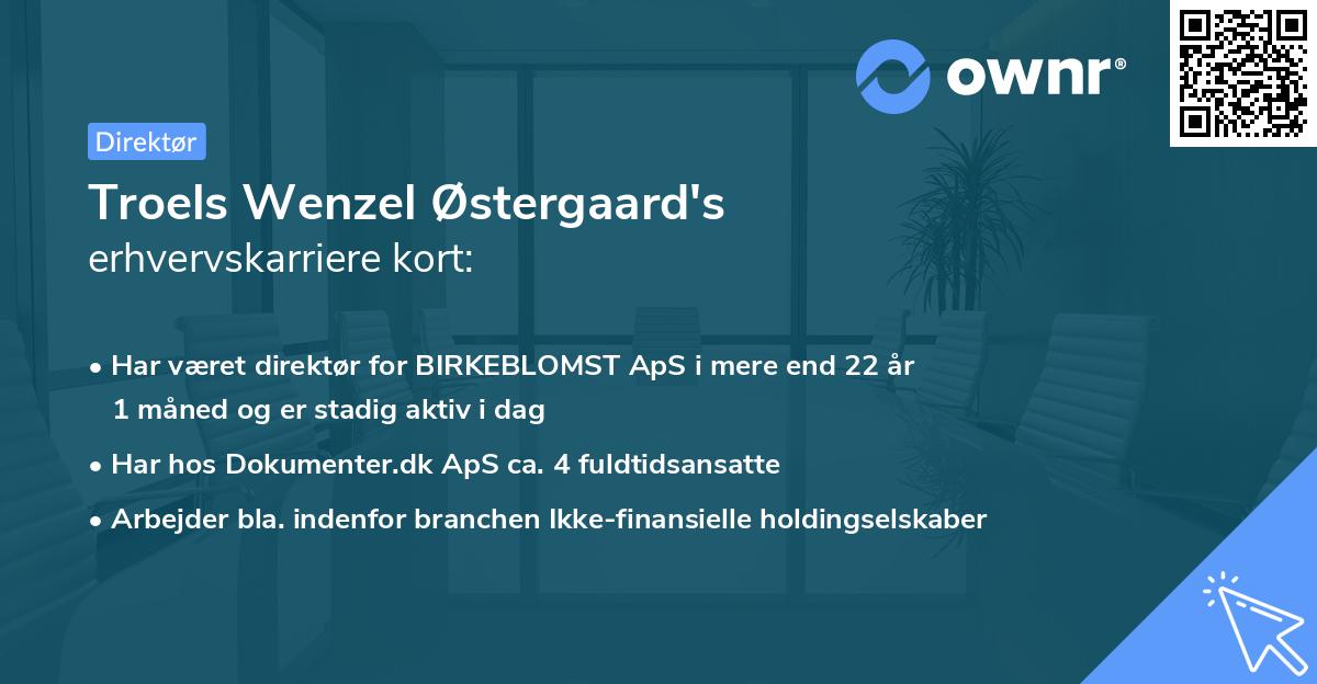 Troels Wenzel Østergaard's erhvervskarriere kort