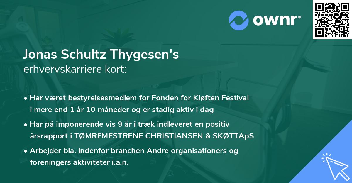 Jonas Schultz Thygesen's erhvervskarriere kort