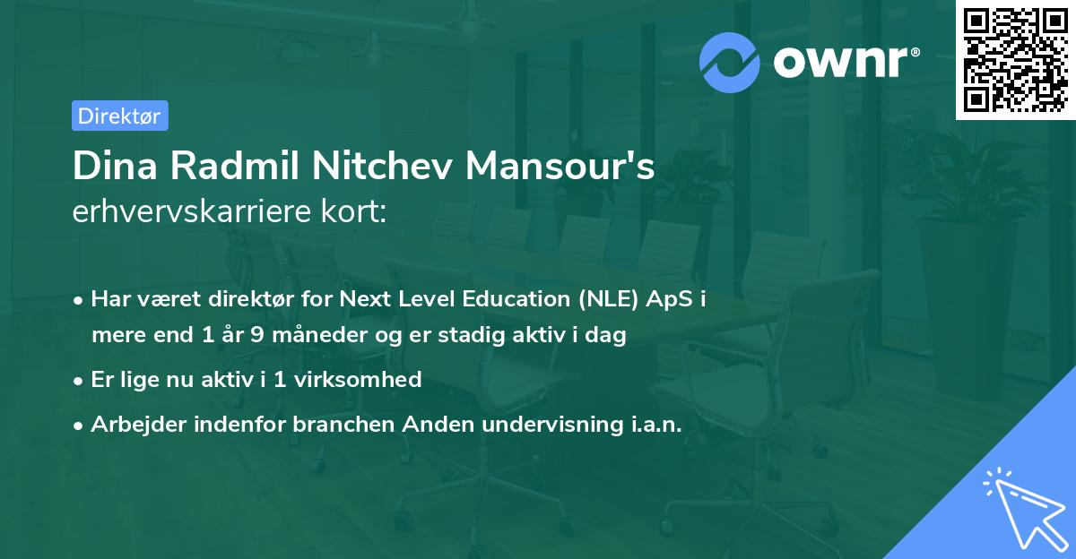 Dina Radmil Nitchev Mansour's erhvervskarriere kort